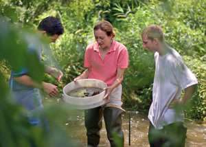 CUERE Researchers in a Stream